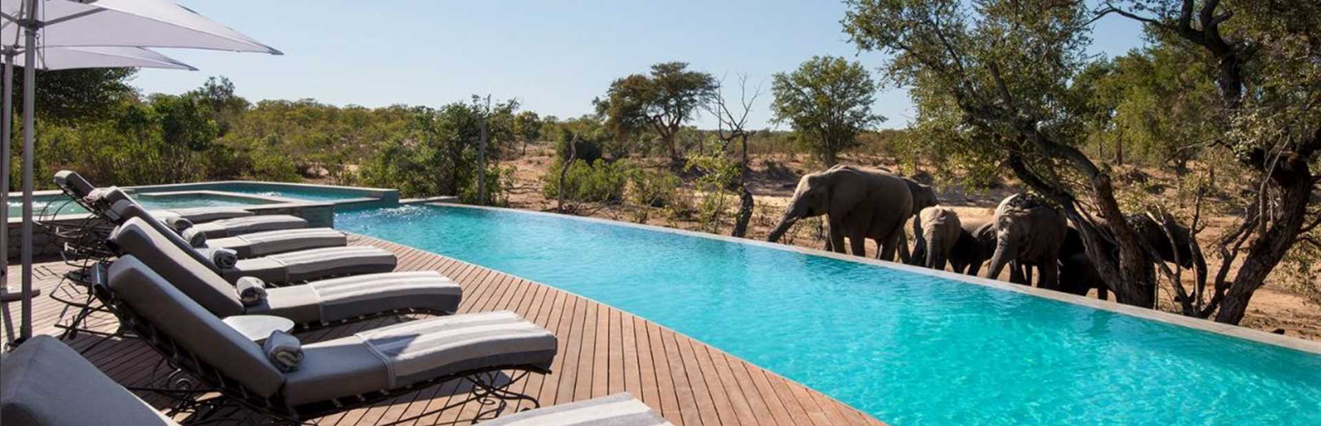 Ngala Tented Camp